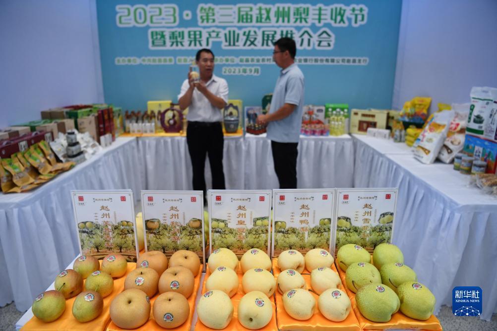 喜雅玛雅听书官网